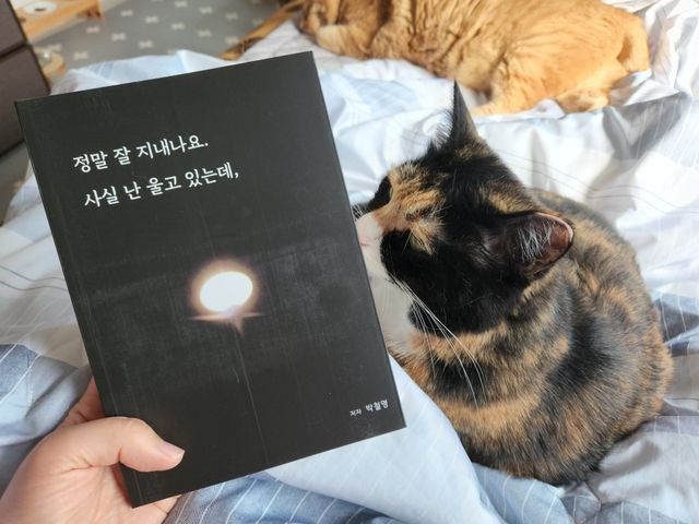 정말잘지내나요사실난울고있는데 리뷰 사진