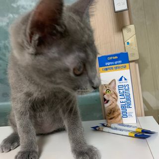 블리언니슈슈님이 올린 리뷰 사진 2