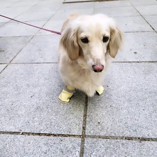 PDKIM님이 올린 리뷰 사진 1
