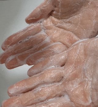 몽스터님이 올린 리뷰 사진 4