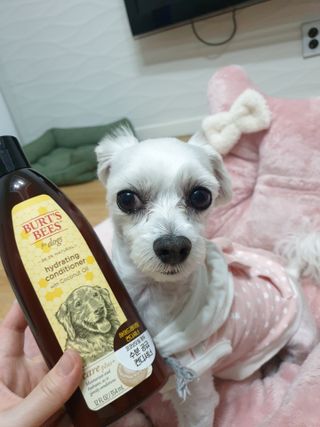 psj6667님이 올린 리뷰 사진 2
