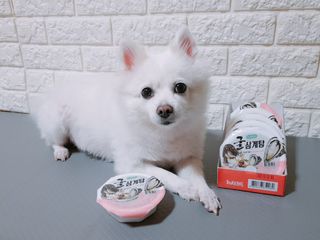 떠뇽님이 올린 리뷰 사진 2