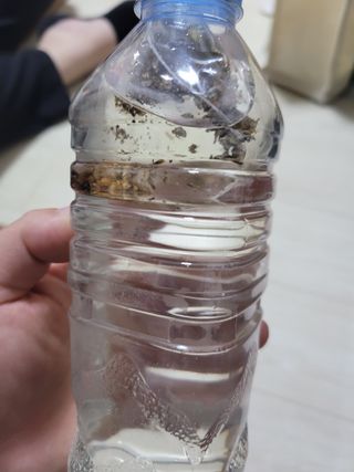 몽몽님이 올린 리뷰 사진 4