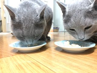 롬님이 올린 리뷰 사진 1