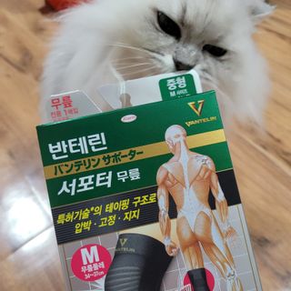 먹보옷님이 올린 리뷰 사진 1