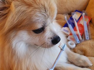 좋아님이 올린 리뷰 사진 2