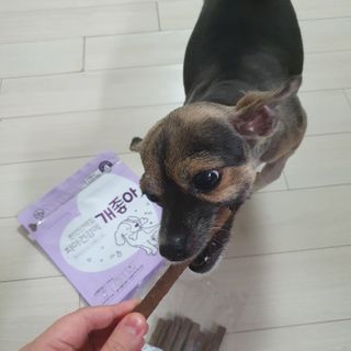 My Pet Care 천연단백질 치아건강에 개좋아 — 5점을 준 리뷰어가 2021년 2월 올린 사용 사진