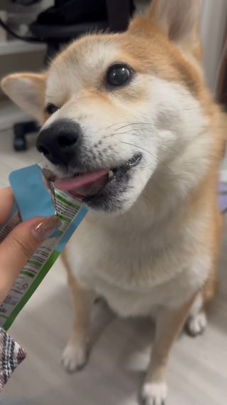 허니귀리님이 올린 리뷰 사진 3