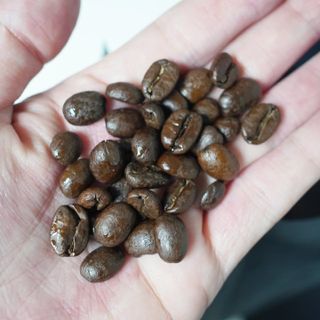 500g  / 갓 볶은 신선한 스페셜티 원두 커피! 커피킹 — 5점을 준 리뷰어가 2023년 9월 올린 사용 사진
