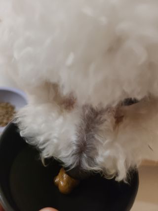 바다님이 올린 리뷰 사진 3