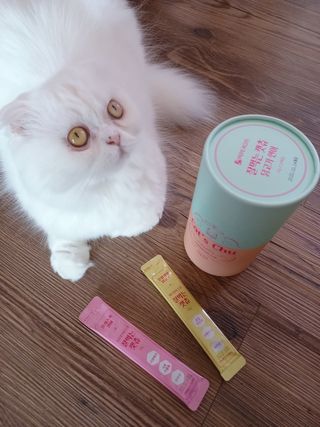 페페로니 잘 먹는 캣츄 - 무항생제 닭고기 12개 + 알래스카 연어 12개 — 5점을 준 리뷰어가 2021년 7월 올린 사용 사진