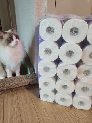 로크찡님이 올린 리뷰 사진 1