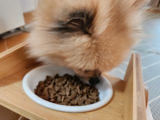 꼬마마녀와꼬망마님이 올린 리뷰 사진 3