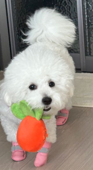 람예님이 올린 리뷰 사진 3