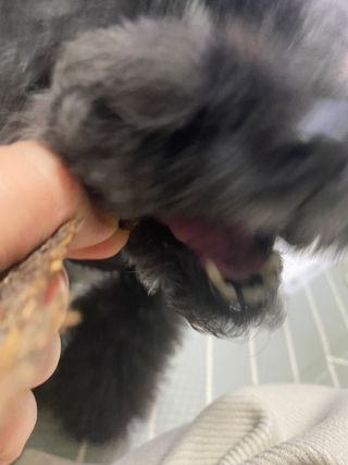 공팔리터최고다님이 올린 리뷰 사진 4