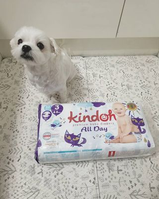 뽀야님이 올린 리뷰 사진 3