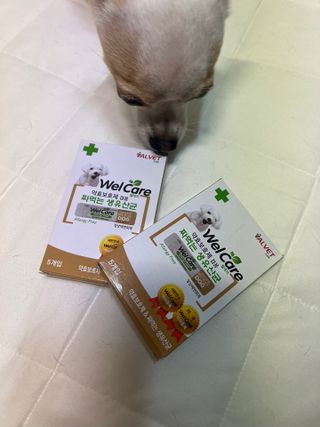 서리h님이 올린 리뷰 사진 2