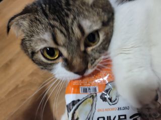 오남매맘님이 올린 리뷰 사진 3