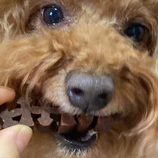 블루민님이 올린 리뷰 사진 1