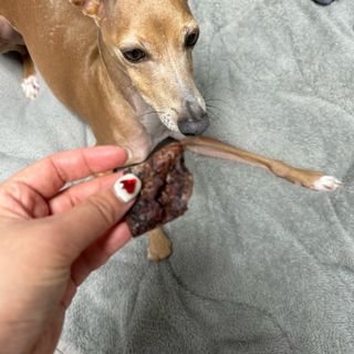 [졸리졸리]말 폐(HORSE LUNG) — 5점을 준 리뷰어가 2023년 1월 올린 사용 사진
