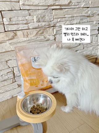 캐닌캐비어 알카라인 홀리스틱 그레이프리 앙뜨레 ALS_4종 오픈스카이, 와일드오션, 프리스피릿, 스페셜니즈 — 5점을 준 리뷰어가 2023년 2월 올린 사용 사진