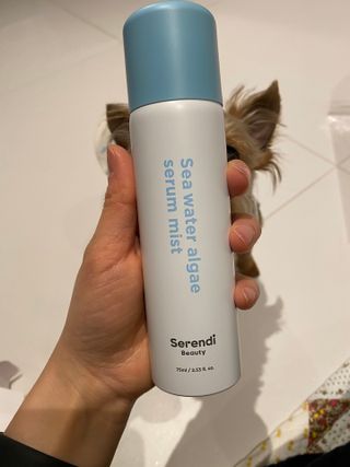 몽실이님이 올린 리뷰 사진 2