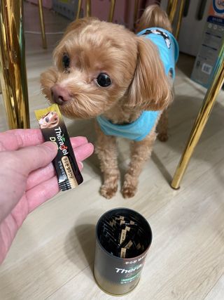 ehlove님이 올린 리뷰 사진 4