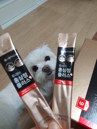 서울약사신협_투데이홍삼정플러스스틱_10g x 30포 — 4.5점을 준 리뷰어가 2021년 2월 올린 사용 사진