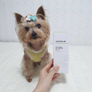 솜희님이 올린 리뷰 사진 3