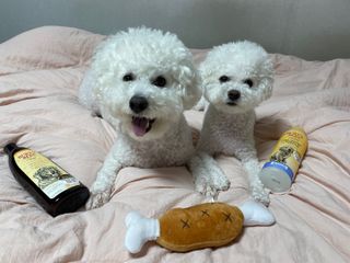 융투님이 올린 리뷰 사진 1