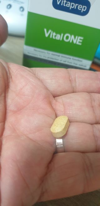 뉴트리션팩토리 비타프렙 바이탈원 종합비타민 멀티비타민 600mg — 5점을 준 리뷰어가 2021년 10월 올린 사용 사진