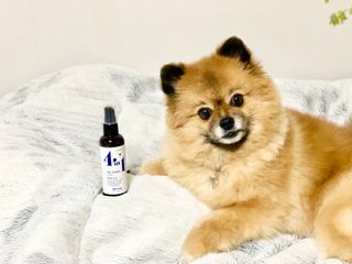 꿀냥이님이 올린 리뷰 사진 1
