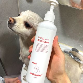 지레씨님이 올린 리뷰 사진 3