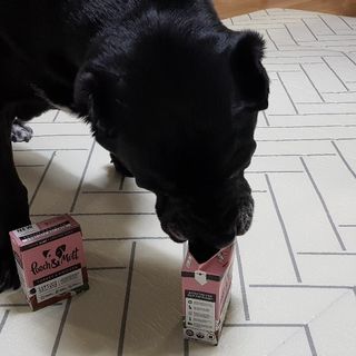 기린짱맘님이 올린 리뷰 사진 2