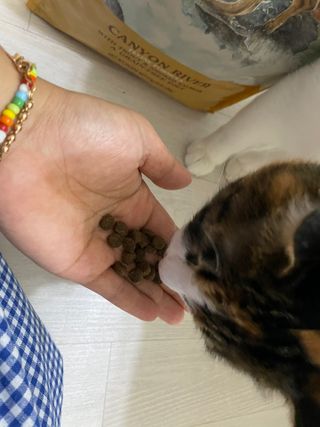 열일합시다님이 올린 리뷰 사진 4