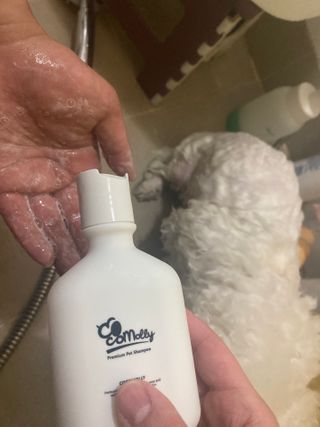 보습 촉촉 린스가 필요 없는 코코몰리 올인원 자연 유래 샴푸 130ml — 5점을 준 리뷰어가 2021년 1월 올린 사용 사진