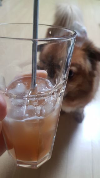 미미네님이 올린 리뷰 사진 4