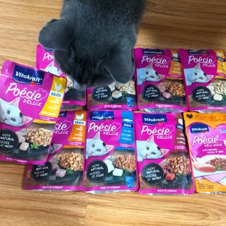 비타크래프트 포에시 델리스 고양이 파우치 85g 9가지맛 1팩씩 — 5점을 준 리뷰어가 2021년 8월 올린 사용 사진