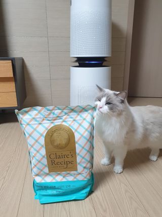 로크찡님이 올린 리뷰 사진 1