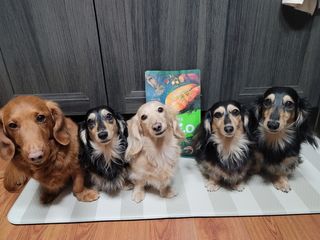 5_daks님이 올린 리뷰 사진 1