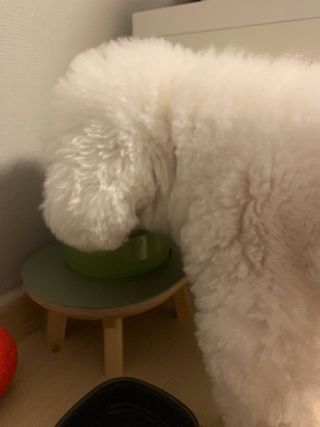 옥슈슈님이 올린 리뷰 사진 3