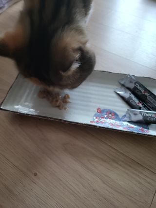 엘카몬님이 올린 리뷰 사진 2