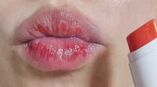 네몽이님이 올린 리뷰 사진 1