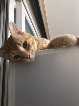이아님이 올린 리뷰 사진 2