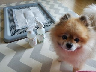 레고사줘님이 올린 리뷰 사진 1