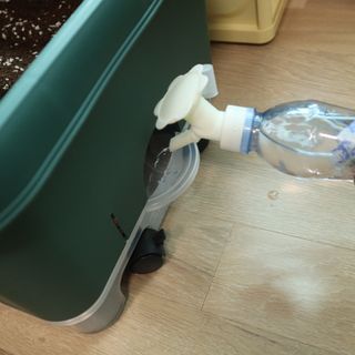 [메이크정글] 이제는 나도 도시농부, 키우기 쉬운 저면관수화분 BIG텃밭세트 — 5점을 준 리뷰어가 2023년 5월 올린 사용 사진