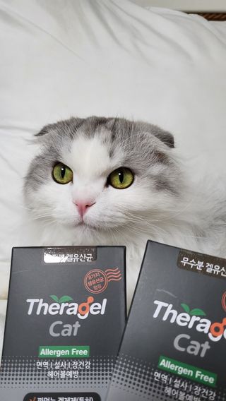 수콩님이 올린 리뷰 사진 3