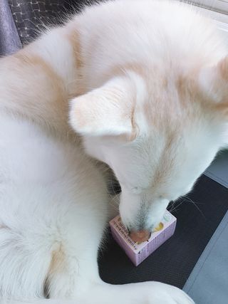 딸랑구둘🥰님이 올린 리뷰 사진 1
