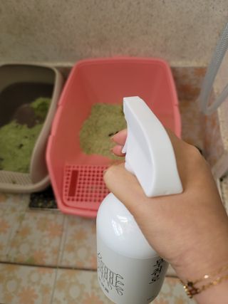 까칠갱이님이 올린 리뷰 사진 1