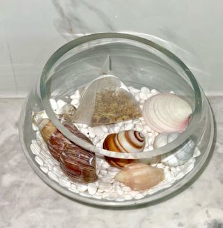 비앤포님이 올린 리뷰 사진 1